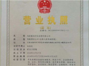 生活服務(wù)黃頁 城市聯(lián)盟