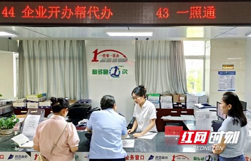 新田 一照通辦 讓政務服務有溫度更提速